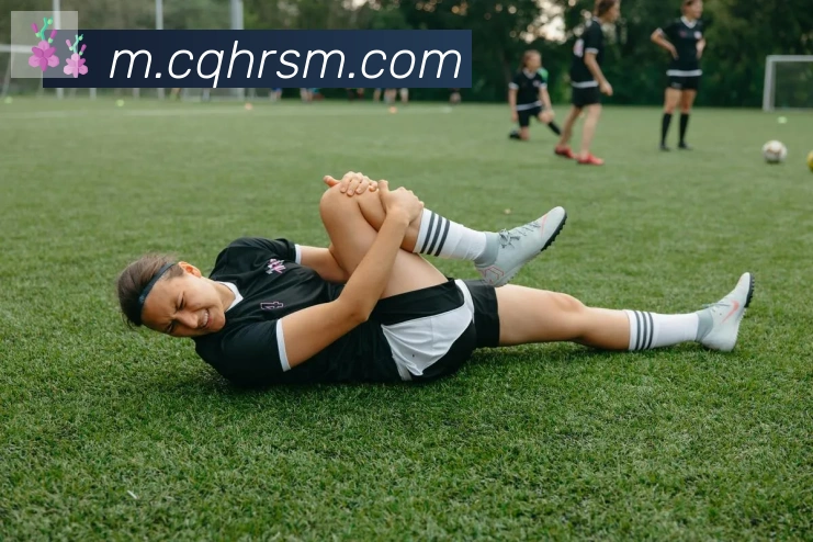 必一体育官网发展历程