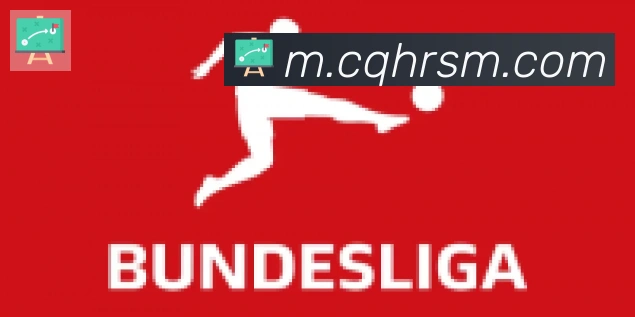 必一体育官网合作伙伴